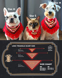 🎄𝐋𝐎𝐍𝐂 聖誕毛孩禮物套裝 SET B｜限量預訂中❤️‍🔥！