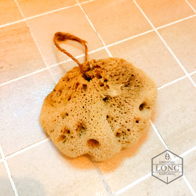 希臘天然海綿天然海绵 Silk Sea Sponge