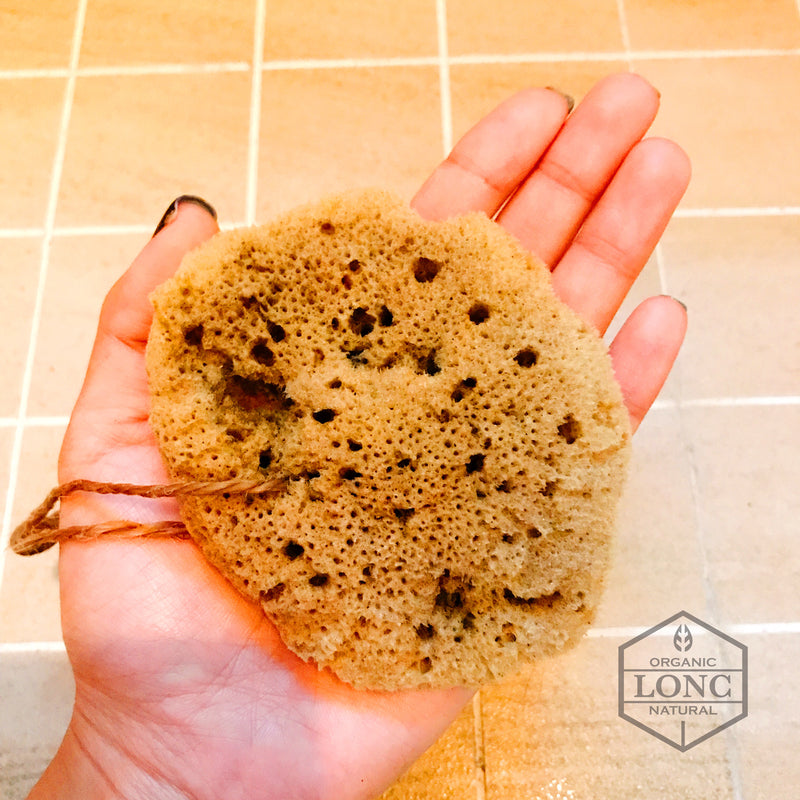 希臘天然海綿天然海绵 Silk Sea Sponge